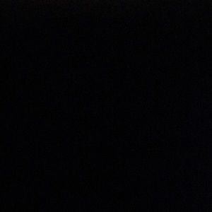 Meet your Posher, Bailey